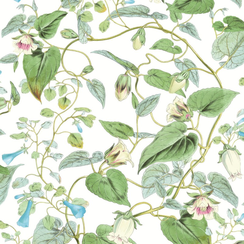 Обои York Blooms Second Edition...