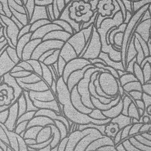 Обои Italreflexes 55119 Обои Italreflexes 55119