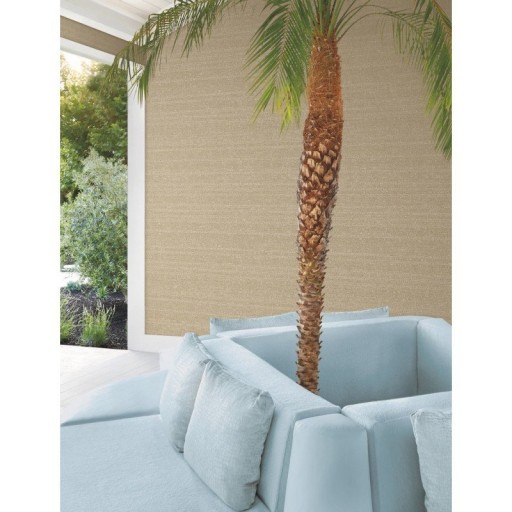 Обои York COD0546N