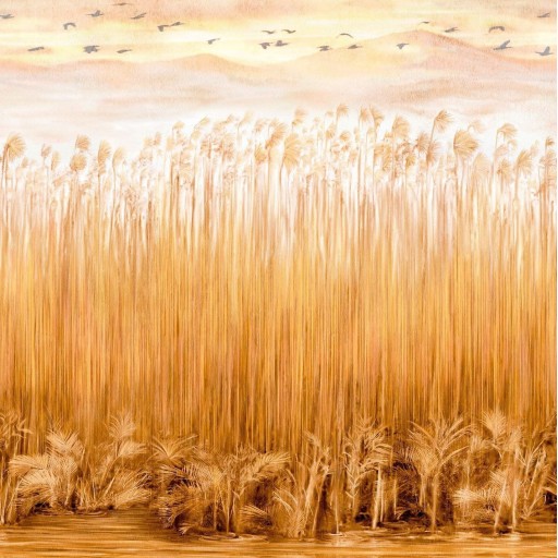 Оранжевые флизелиновые фотообои Italreflexes KAD509