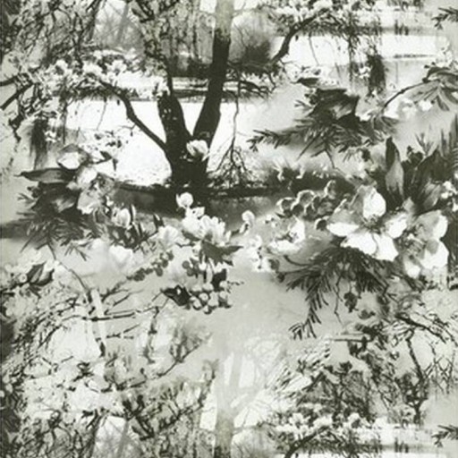 Обои Lelievre Jean-Paul Gaultier Les Papiers 605394207