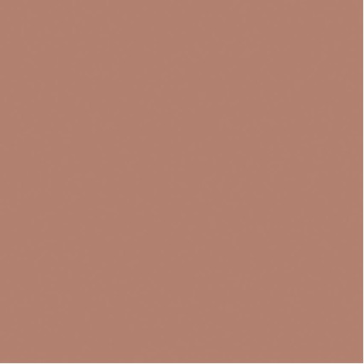 Коричневые обои Borastapeter 7999