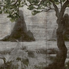 Обои Coordonne 7900193 