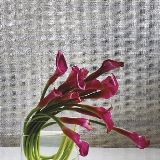 Обои York CP1275