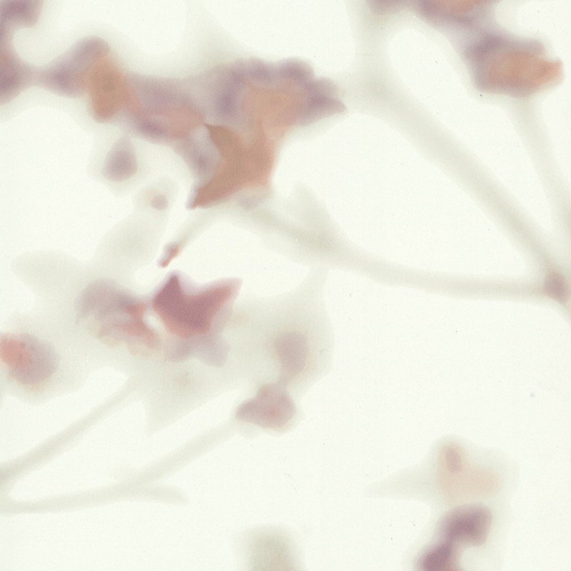 Обои York Candice Olson Terrain...