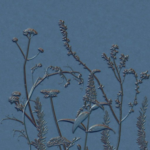 Обои 83936484 Casadeco