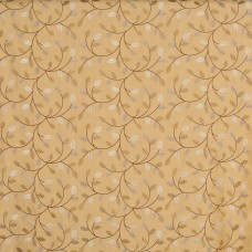 Ткань A0363 color AMBER COCO fabric
