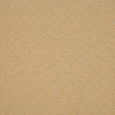 Ткань COCO fabric A0219 color 71
