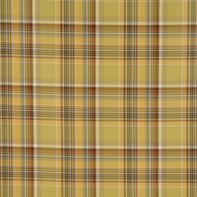 Ткань 1868CB color PEAR COCO fabric