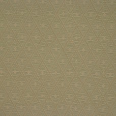 Ткань COCO fabric W143 color 50
