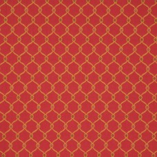 Ткань 1652CB color CORAL COCO fabric