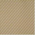 Caraway Seed