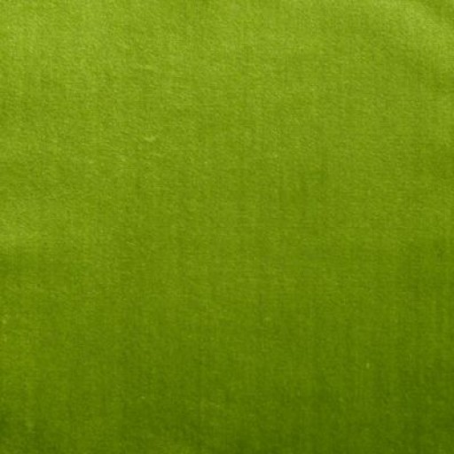 Ткань Scalamandre Fabric Amur/verde/cl 004336386