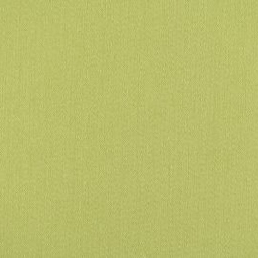 Ткань Scalamandre Fabric Rio/spring green/vp 2218rio1