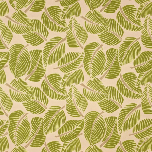 Ткань Schumacher fabric 176190/COSTA RICA