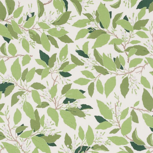 Ткань Schumacher fabric 176520/DOGWOOD LEAF