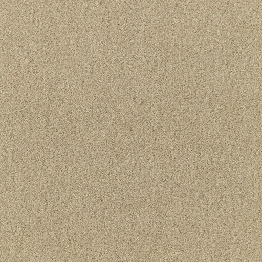 Ткань Schumacher fabric 64871/SAN...