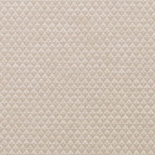 Ткань Schumacher fabric 71180/EVANS