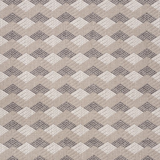 Ткань Schumacher fabric 72212/EUCHTMAN