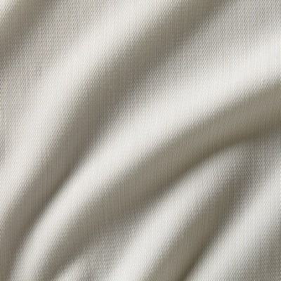 Ткань Zimmer + Rohde fabric Silence 10809991