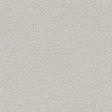 Ткань Zimmer + Rohde fabric Comfy...