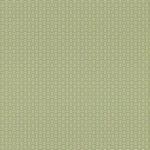 Обои Caselio Jungle JUN100007303