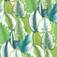 Обои Manuel Canovas 03085/01