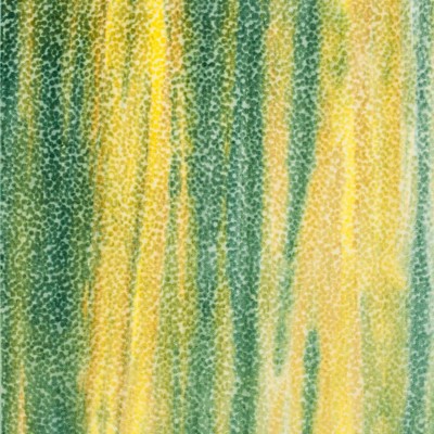Ткань Chivasso fabric CH2787-030 Ткань Chivasso fabric CH2787-030