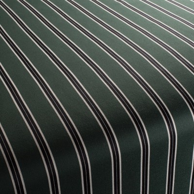 Ткань CA1601-031 Chivasso fabric