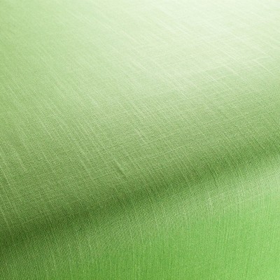Ткань CA7655-133 Chivasso fabric