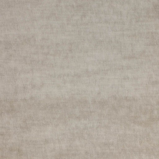 Ткань светло-серого цвета под велюр F4625-10
