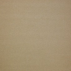 Ткани Colefax and Fowler fabric F4336-02