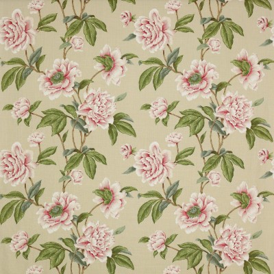 Ткани Colefax and Fowler fabric F4230-04