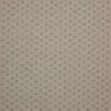 Ткани Colefax and Fowler fabric F4339-01