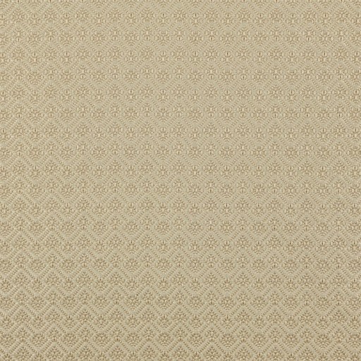 Ткань Dedar fabric T19018-004