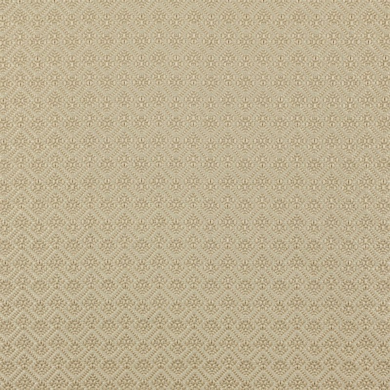 Ткань Dedar fabric T19018-004