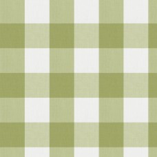 Ткань Fabricut fabric Camping Check Celery