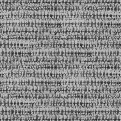 Ткань Fabricut fabric Storyboard Pewter