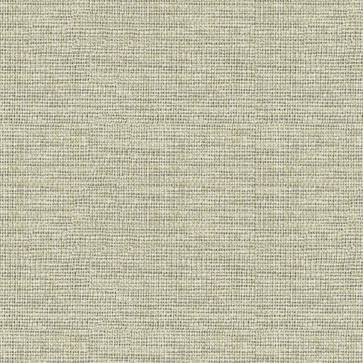 Ткань GP- J Baker fabric PF50389-925 