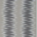 Momentum 8