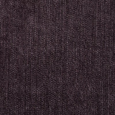 Momentum Velvets