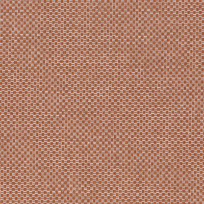 Ткань Jab fabric 9-2564-060