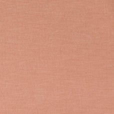 Ткань Jane Churchill fabric J944F-29