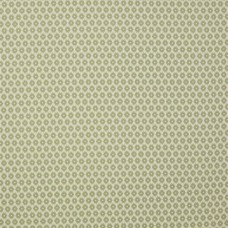 Ткань Jane Churchill fabric J877F-05