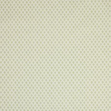 Ткань Jane Churchill fabric J927F-06