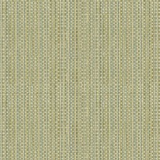 Ткань Kravet fabric 31992-135