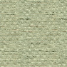 Ткань Kravet fabric 33135-135
