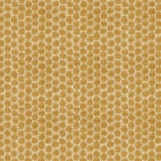 Ткань Kravet fabric 33132-4