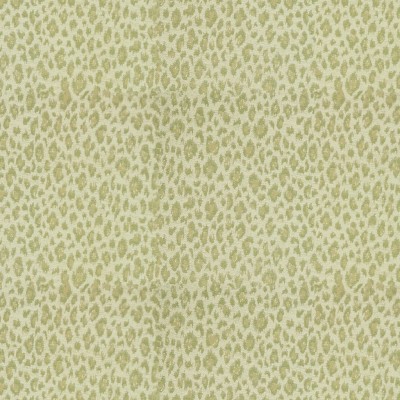 Ткань Kravet fabric 31382-123
