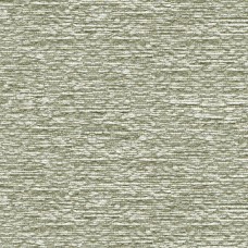Ткань Kravet fabric 33455-6